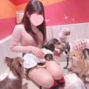 ヒメ日記 2026/04/06 15:42 投稿 まな★超S級美女キス好き女神★ Bell～S級美女お姉様・人妻デリヘル～