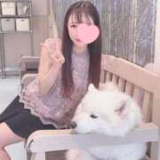 ヒメ日記 2026/05/12 15:48 投稿 まな★超S級美女キス好き女神★ Bell～S級美女お姉様・人妻デリヘル～