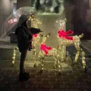 ヒメ日記 2026/04/02 23:01 投稿 えぬ 恋するバニー