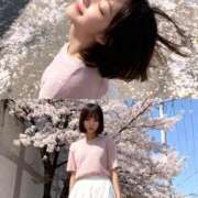 ヒメ日記 2026/04/11 19:50 投稿 アイ 川崎美女革命