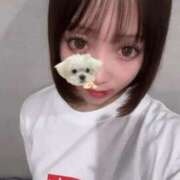 ヒメ日記 2026/04/14 11:43 投稿 アイ 川崎美女革命