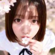 ヒメ日記 2026/04/16 18:13 投稿 アイ 川崎美女革命