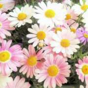 ヒメ日記 2026/04/01 21:03 投稿 西野南月 五十路マダム 田辺店