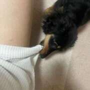 ヒメ日記 2026/03/28 14:06 投稿 まお 西船人妻花壇