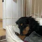 ヒメ日記 2026/03/29 12:43 投稿 まお 西船人妻花壇