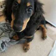 ヒメ日記 2026/03/30 00:37 投稿 まお 西船人妻花壇