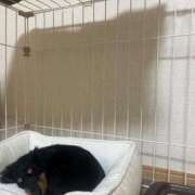 ヒメ日記 2026/03/30 12:34 投稿 まお 西船人妻花壇