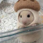 ヒメ日記 2026/04/01 03:00 投稿 まお 西船人妻花壇