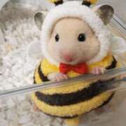 ヒメ日記 2026/04/02 03:06 投稿 まお 西船人妻花壇