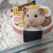 ヒメ日記 2026/04/02 23:33 投稿 まお 西船人妻花壇