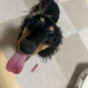 ヒメ日記 2026/04/05 02:37 投稿 まお 西船人妻花壇