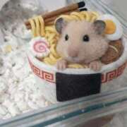 ヒメ日記 2026/04/08 03:53 投稿 まお 西船人妻花壇