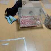 ヒメ日記 2026/04/24 21:42 投稿 まお 西船人妻花壇