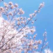 ヒメ日記 2026/04/02 13:53 投稿 かなみ コスパラ(梅田)