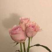 ヒメ日記 2026/04/08 00:45 投稿 かなみ コスパラ(梅田)