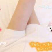 かなみ かなとたのしいことしよ？ コスパラ(梅田)