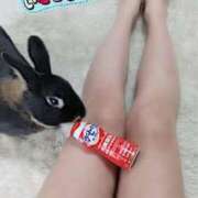 ヒメ日記 2026/04/29 07:15 投稿 ねね プロローグ-序章-浜松店