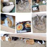 ヒメ日記 2026/05/15 14:45 投稿 ねね プロローグ-序章-浜松店