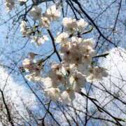 ヒメ日記 2026/03/29 18:19 投稿 吹春（ふきはる） 熟女の風俗最終章 大宮店