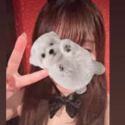 ヒメ日記 2026/04/05 01:55 投稿 ナナネ バニーコレクション秋田店