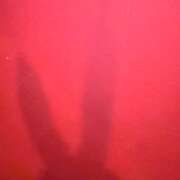 ヒメ日記 2026/04/08 00:06 投稿 ナナネ バニーコレクション秋田店