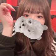 ヒメ日記 2026/04/08 12:18 投稿 ナナネ バニーコレクション秋田店