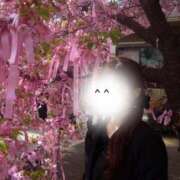 ヒメ日記 2026/04/10 18:13 投稿 ナナネ バニーコレクション秋田店