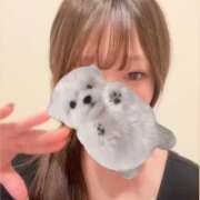 ナナネ 感謝の気持ちで🈵✨ バニーコレクション秋田店