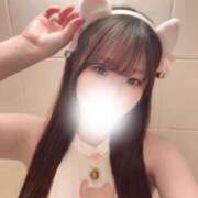 ヒメ日記 2026/06/14 06:49 投稿 ナナネ バニーコレクション秋田店