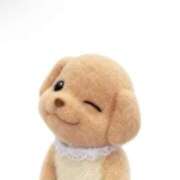 ヒメ日記 2026/09/07 09:08 投稿 ナナネ バニーコレクション秋田店