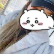 ヒメ日記 2026/04/05 07:05 投稿 えれな　体験入店 夢の国デリランド