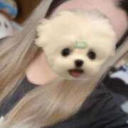 ヒメ日記 2026/04/16 07:05 投稿 えれな　体験入店 夢の国デリランド