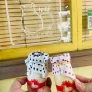 ヒメ日記 2026/04/29 14:56 投稿 ほの ぽちゃらん神栖店