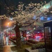 ヒメ日記 2026/03/31 05:16 投稿 あも 熟女総本店 日本橋ミナミエリア店