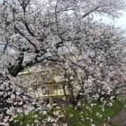 ヒメ日記 2026/04/04 20:06 投稿 あも 熟女総本店 日本橋ミナミエリア店