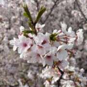 あも 今日も。。。🤭💕 熟女総本店 日本橋ミナミエリア店
