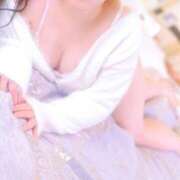 こはく お礼?T様へ 錦糸町ティラミス（シンデレラグループ）