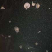 ヒメ日記 2026/03/29 14:20 投稿 あんじゅ 奥様特急　池袋・大塚店