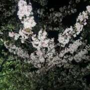 ヒメ日記 2026/03/30 08:10 投稿 あんじゅ 奥様特急　池袋・大塚店