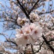 ヒメ日記 2026/03/31 10:48 投稿 らむ 池袋人妻城