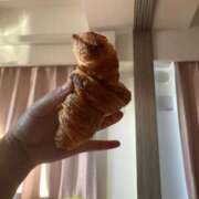 ヒメ日記 2026/04/10 10:42 投稿 らむ 池袋人妻城