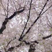 ヒメ日記 2026/04/05 12:31 投稿 家永　そら 川崎南町 素敵な奥様（川崎ハレ系）