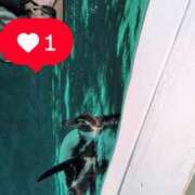 ゆい 友達と水族館行った 白金プラチナ(ユメオト)