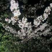 ヒメ日記 2026/03/30 08:14 投稿 あんじゅ 奥様特急　立川店