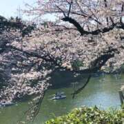 ヒメ日記 2026/03/28 21:22 投稿 ちあき sakura