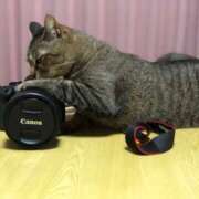 ヒメ日記 2026/04/02 18:57 投稿 かのん 土浦ハッピーマットパラダイス