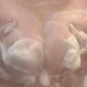 ヒメ日記 2026/04/29 07:31 投稿 あみ ぽちゃSPA