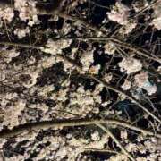 ヒメ日記 2026/04/08 21:22 投稿 にこり 丸妻 横浜本店