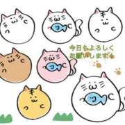 ヒメ日記 2026/04/09 16:48 投稿 上戸みひろ(うえとみひと) 五十路マダムエクスプレス厚木店(カサブランカグループ)