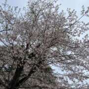 ヒメ日記 2026/04/06 18:23 投稿 音兎（おと） 人妻の蜜